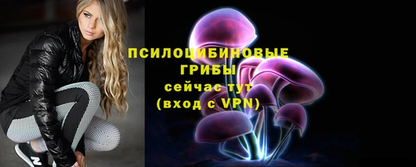 сатива Осташков
