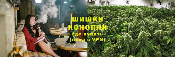 сатива Осташков