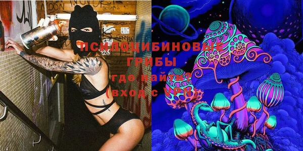 сатива Осташков