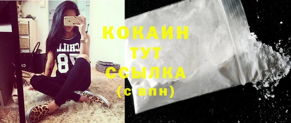 сатива Осташков